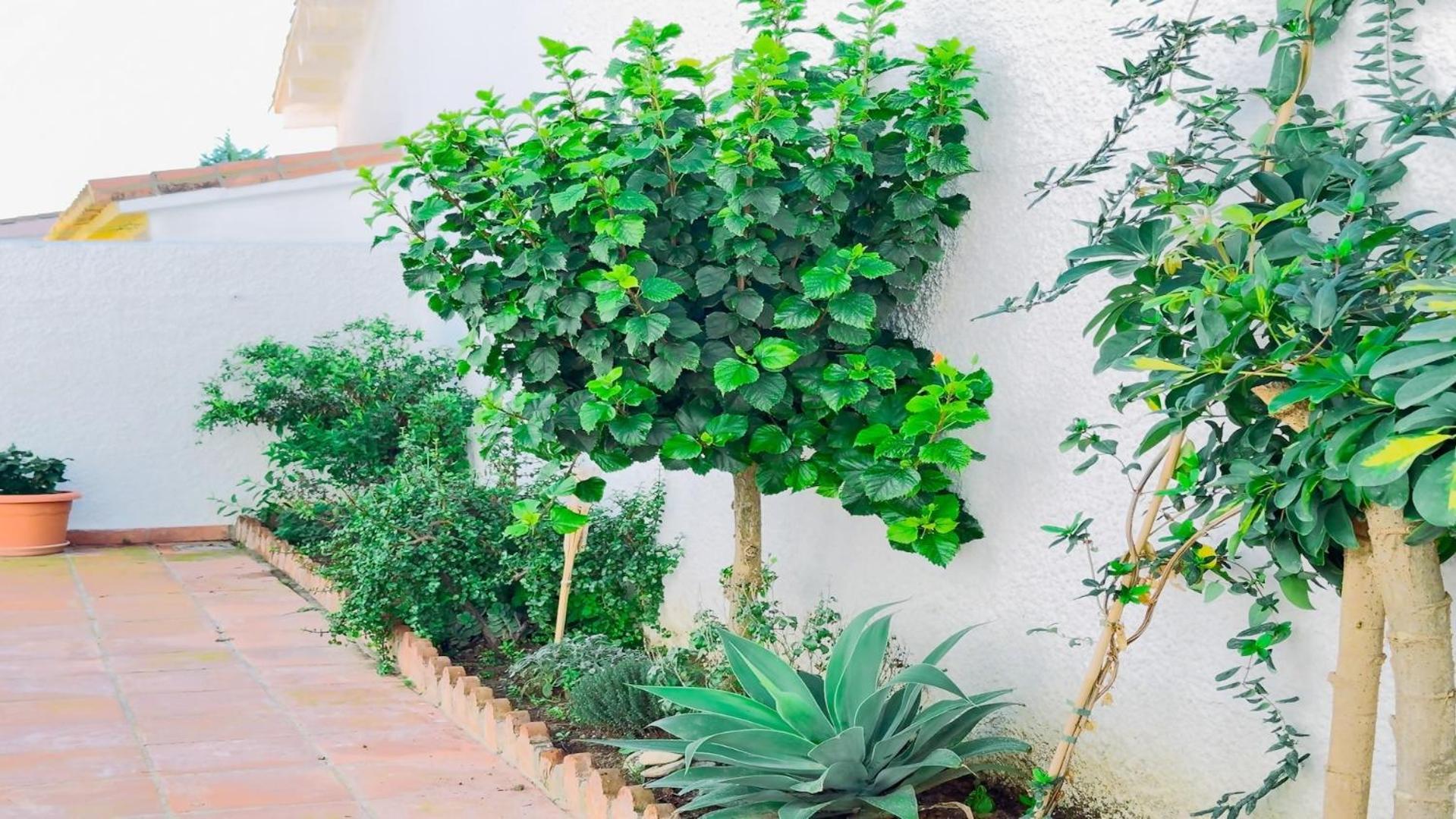Vivienda Con Encanto Goya Nº4 เบนัลมาเดนา ภายนอก รูปภาพ